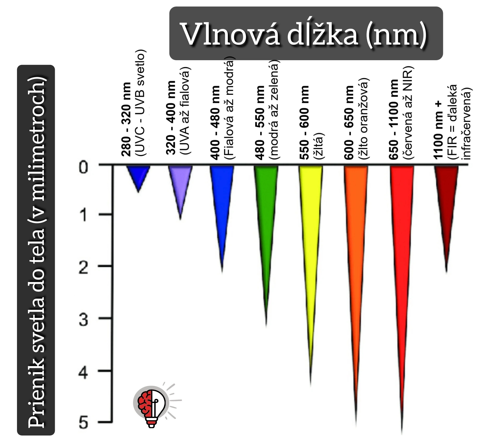 prienik svetla do tela Easy Light Mitochondriak